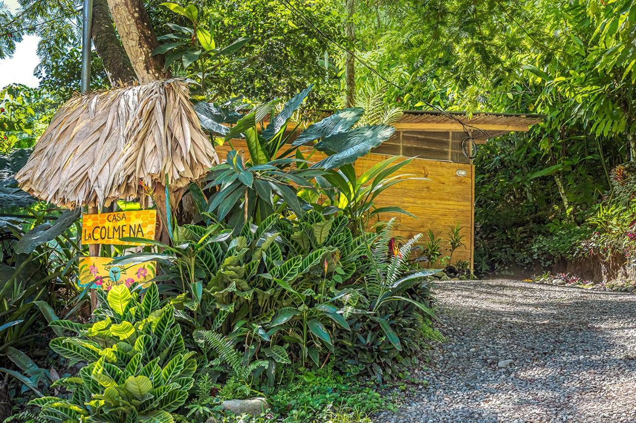 Bee Happy Studio Cahuita Exterior foto